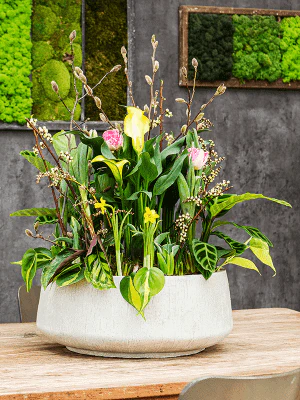 Miniatuur 2
